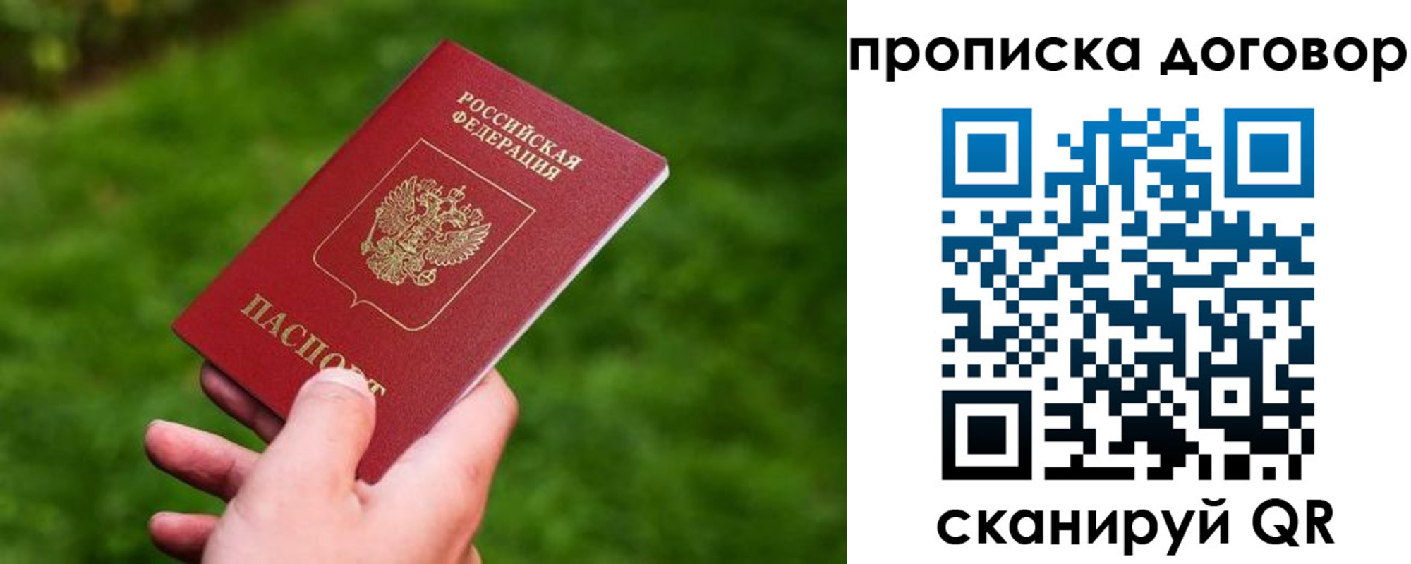 прописка гарантия в Невеле